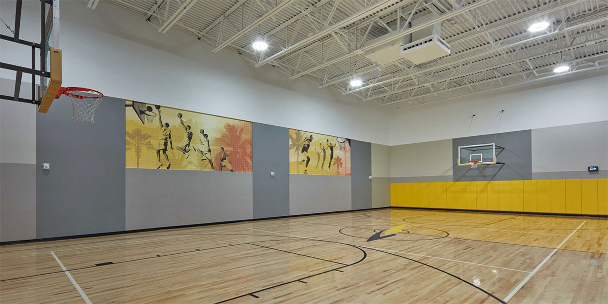 Gallery image 13